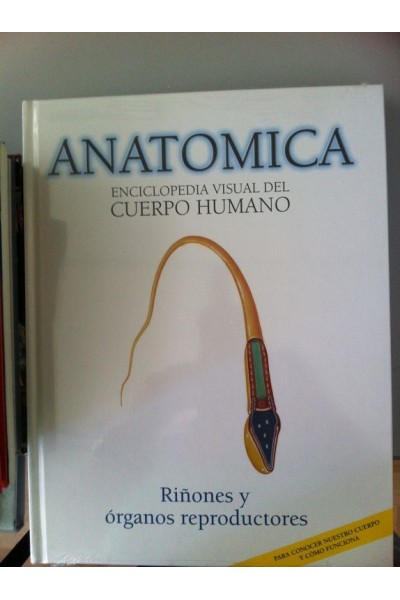ANATOMICA. ENCICLOPEDIA VISUAL DEL CUERPO HUMANO, VOLUMEN 10: Riñones y órganos reproductores.